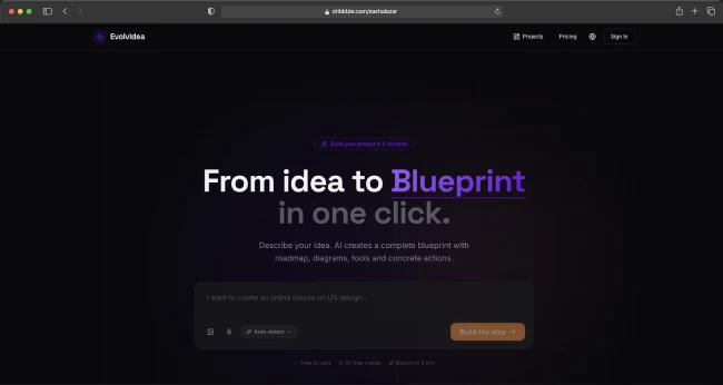 EvolvIdea web app